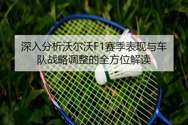 深入分析沃尔沃F1赛季表现与车队战略调整的全方位解读